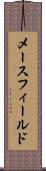 メースフィールド Scroll