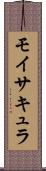 モイサキュラ Scroll