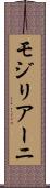 モジリアーニ Scroll