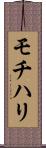 モチハリ Scroll