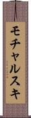 モチャルスキ Scroll