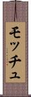 モッチュ Scroll