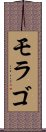 モラゴ Scroll