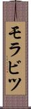 モラビツ Scroll