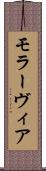 モラーヴィア Scroll