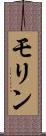 モリン Scroll