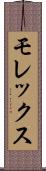モレックス Scroll