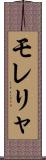 モレリャ Scroll