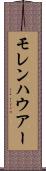 モレンハウアー Scroll