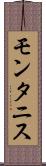 モンタニス Scroll