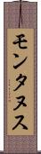 モンタヌス Scroll