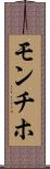モンチホ Scroll