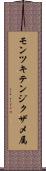 モンツキテンジクザメ属 Scroll