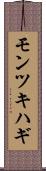 モンツキハギ Scroll