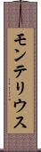 モンテリウス Scroll