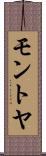 モントヤ Scroll