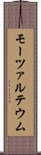 モーツァルテウム Scroll