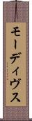 Maudives Scroll