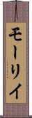 モーリイ Scroll