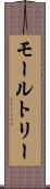 モールトリー Scroll