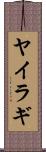 ヤイラギ Scroll