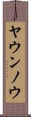 ヤウンノウ Scroll