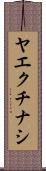 ヤエクチナシ Scroll