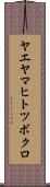 ヤエヤマヒトツボクロ Scroll