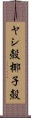 ヤシ殻 Scroll