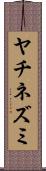 ヤチネズミ Scroll
