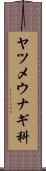 ヤツメウナギ科 Scroll