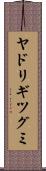 ヤドリギツグミ Scroll