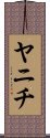 ヤニチ Scroll