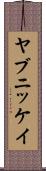 ヤブニッケイ Scroll
