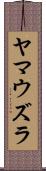 ヤマウズラ Scroll