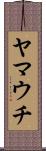 ヤマウチ Scroll
