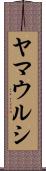 ヤマウルシ Scroll