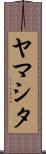 ヤマシタ Scroll