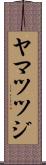 ヤマツツジ Scroll