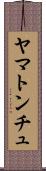 ヤマトンチュ Scroll