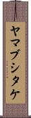 ヤマブシタケ Scroll