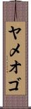 ヤメオゴ Scroll