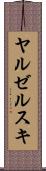 ヤルゼルスキ Scroll