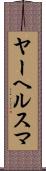 ヤーヘルスマ Scroll