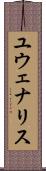 ユウェナリス Scroll