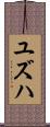 Yuzuha Scroll