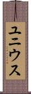 ユニウス Scroll