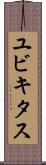 ユビキタス Scroll