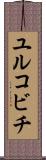 ユルコビチ Scroll