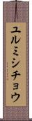 ユルミシチョウ Scroll
